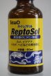 画像2: レプチゾル（爬虫類用栄養添加剤） (2)