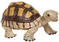 リクガメ　フィギュア