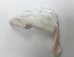 画像2: 国産冷凍アダルトマウス Mサイズ　1匹単位 (2)