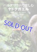 パルダリウムで楽しむヤドクガエル