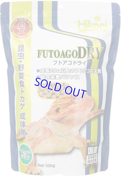 画像1: フトアゴドライ500ｇ