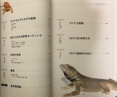 画像2: フトアゴヒゲトカゲの教科書