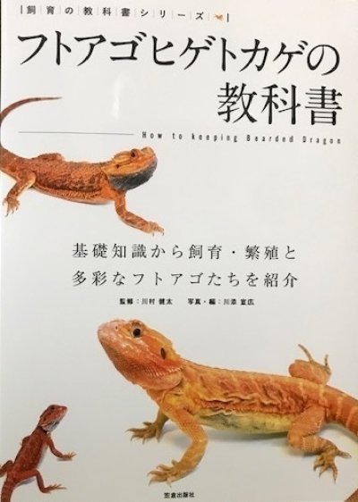 画像1: フトアゴヒゲトカゲの教科書