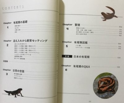 画像2: 有尾類の教科書