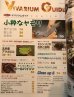 画像2: ビバリウムガイド No.91　2020冬号【特別付録2021年爬虫類カレンダー】 (2)