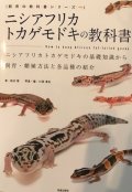 ニシアフリカトカゲモドキの教科書