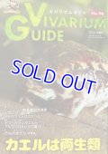 ビバリウムガイド No.96　2022春号　