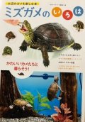 ミズガメのいろは
