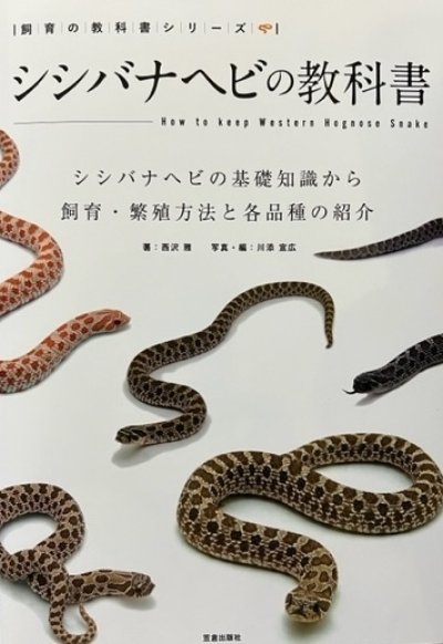 画像1: シシバナヘビの教科書