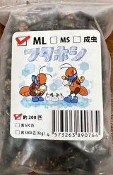 冷凍フタホシコオロギ　MＬサイズ200匹入り