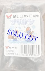 冷凍フタホシコオロギ　MＬサイズ200匹入り