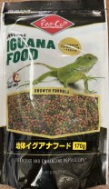 幼体イグアナフード170g