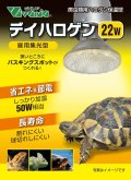 デイハロゲン 22W
