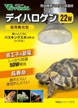 デイハロゲン 22W