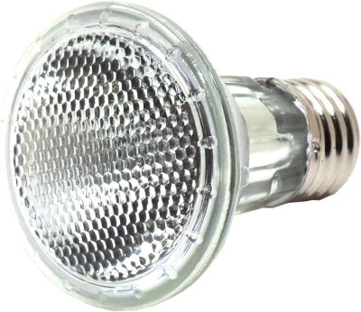 画像4: デイハロゲン 42W