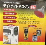 デイ＆ナイトハロゲン 66W