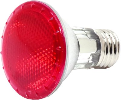 画像4: デイ＆ナイトハロゲン 42W