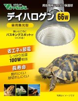 デイハロゲン 66W