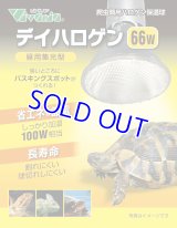 デイハロゲン 66W