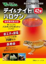 デイ＆ナイトハロゲン 42W