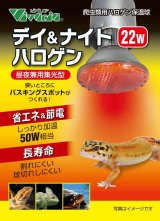 デイ＆ナイトハロゲン 22W