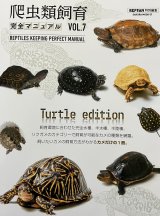 【新刊】爬虫類飼育完全マニュアルVol.7が入荷しました。