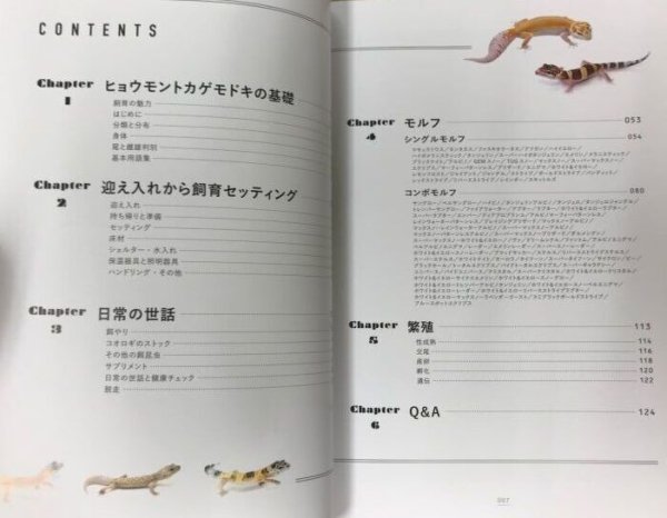画像2: レオパの教科書 (2)