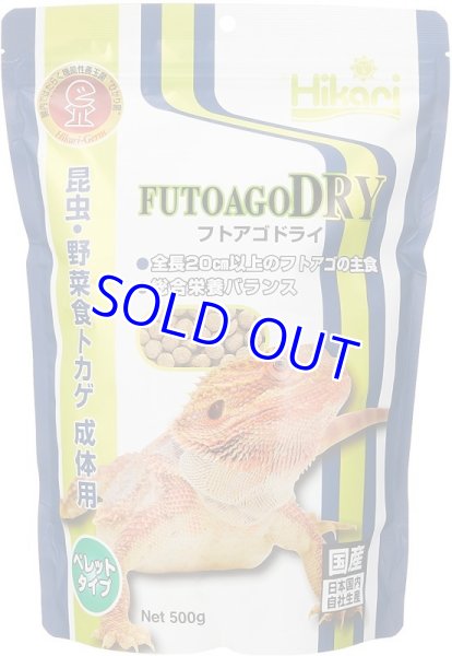 画像1: フトアゴドライ500ｇ (1)