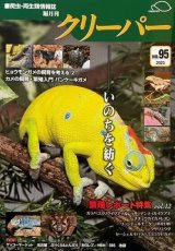 飼育本・雑誌 - カメレオン・ハート