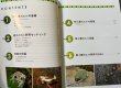 画像2: 樹上棲カエルの教科書 (2)