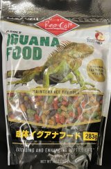 和歌山の爬虫類専門店カメレオンハート (Page 2)