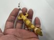 画像4: ヒョウモントカゲモドキ　スーパーハイポタンジェリン (4)