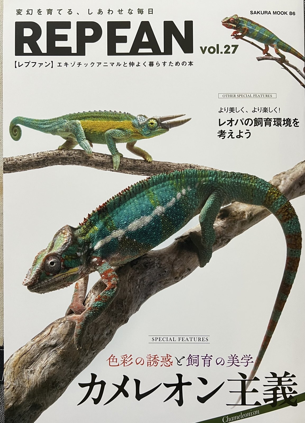 REPFAN vol.27、天然コルクブランチが入荷しました。